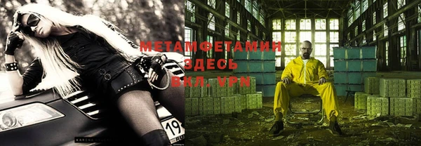 мет Алексин