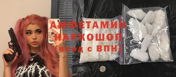 мет Алексин